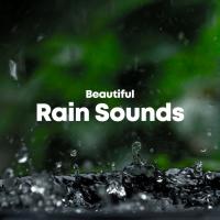 Artwork for Beautiful Rain Sounds by Sounds Of Nature