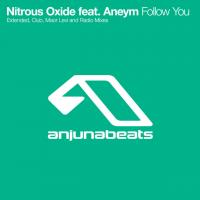 Artwork for Follow You by Nitrous Oxide