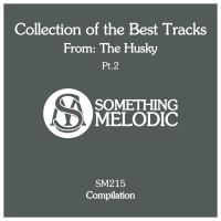 Artwork for Collection of the Best Tracks From: The Husky, Pt. 2 by The Husky