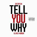 Artwork for Tell You Why