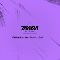 Artwork for What About You EP by Fabian Larries