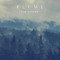 Artwork for Flume by Thom Cooper