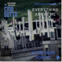 CMD Gutta