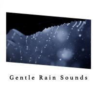 Artwork for Gentle Rain Sounds by Sounds Of Nature