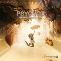 Artwork for Higher State of Dub by Psychoz