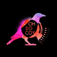 Artwork for The More I See You by Frej Le Vin