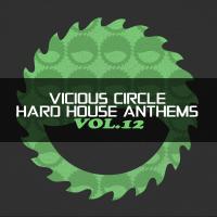 Artwork for Vicious Circle: Hard House Anthems, Vol. 12 by Various Artists