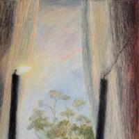 Artwork for Polly by Tom Rosenthal