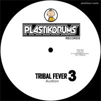 Artwork for Tribal Fever 3 by Audion