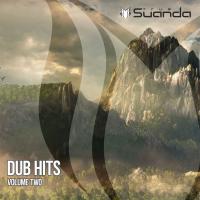 Artwork for Dub Hits, Vol. 2 by Various Artists