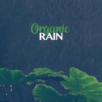 Artwork for Organic Rain by Rain Sounds