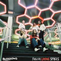 Artwork for Foolish Loving Spaces (Extended Edition) by Blossoms