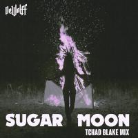 Artwork for Sugar Moon by DeWolff