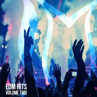 Artwork for EDM Hits, Vol. 2 by Various Artists