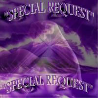 Artwork for Special Request by Special Request