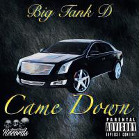 Artwork for Came Down by Big Tank D