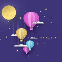 Artwork for Flying Home by Stevie Martell