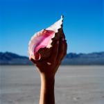 Artwork for "The Man" by The Killers