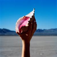 Artwork for Wonderful Wonderful by The Killers