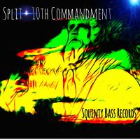 Artwork for 10th Commandment by Split