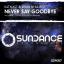 Artwork for Never Say Goodbye (Abide Remix)