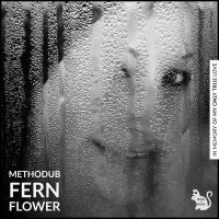 Artwork for Fern Flower by Methodub