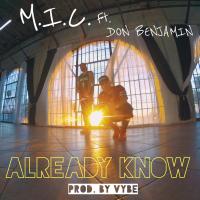 Artwork for Already Know (feat. Don Benjamin) by M.I.C.