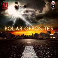 Artwork for Polar Opposites by Hilton Caswell