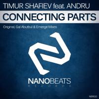 Artwork for Connecting Parts by Timur Shafiev