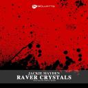Artwork for Raver Crystals (Kastis Torrau Remix)