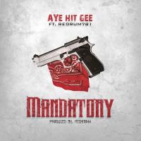 Artwork for Mandatory (feat. Redrum781) by Aye Hit Gee