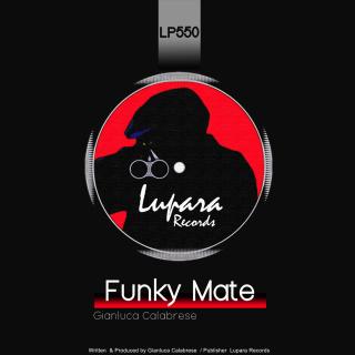 Artwork for Funky Mate (Original Mix)
