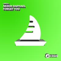 Artwork for Forget You by Akeem Raphael