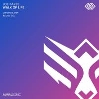 Artwork for Walk of Life by Joe Fares