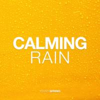 Artwork for Calming Rain by Rain Sounds