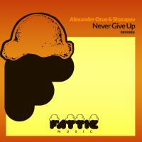 Artwork for Never Give Up Remixes by Alexander Orue