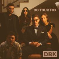 Artwork for Xo Tour Fox by DRK