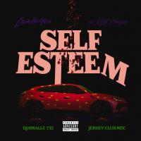 Artwork for Self Esteem by Lambo4oe