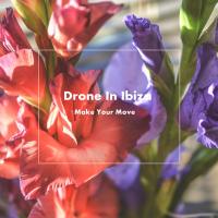 Artwork for Make Your Move by Drone In Ibiza