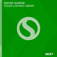 Artwork for Your Loving Arms by David Surok