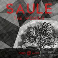 Artwork for The Woods by Saule