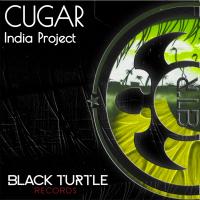 Artwork for India Project by CUGAR