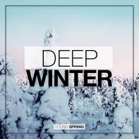 Artwork for Deep Winter by Rain Sounds