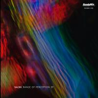 Artwork for Range of Perception EP by Salski