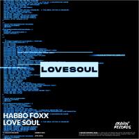 Artwork for Love Soul by Habbo Foxx