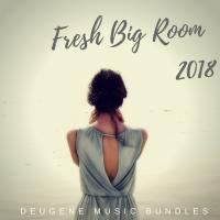 Artwork for Fresh Big Room 2018 by Various Artists