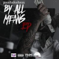 Artwork for By All Means by Panda Badazz