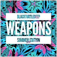 Artwork for Black Turtle Deep Weapons Summer Edition 2018 by Clever Liboni