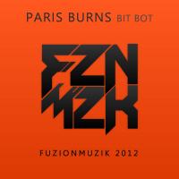 Artwork for Bit Bot by Paris Burns
