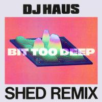 Artwork for Bit Too Deep (Shed Remix) by DJ Haus